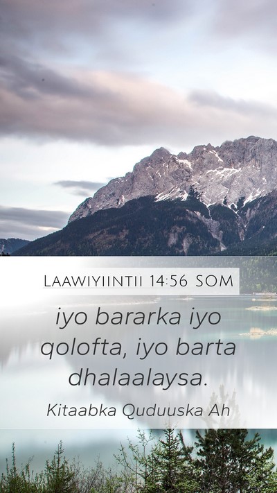 Laawiyiintii 14:56 SOM Bible Verse Image