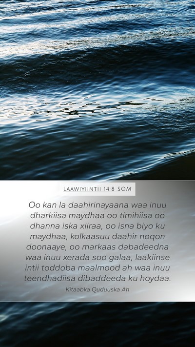Laawiyiintii 14:8 SOM Bible Verse Image