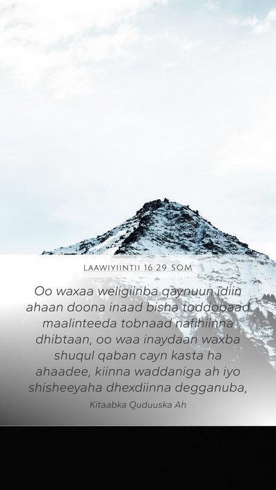 Laawiyiintii 16:29 SOM Bible Verse Image