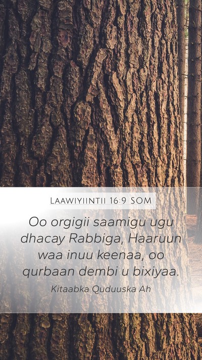 Laawiyiintii 16:9 SOM Mobile Phone Wallpaper - Oo orgigii saamigu ugu dhacay Rabbiga, Haaruun - Mobile Bible Verse Wallpaper