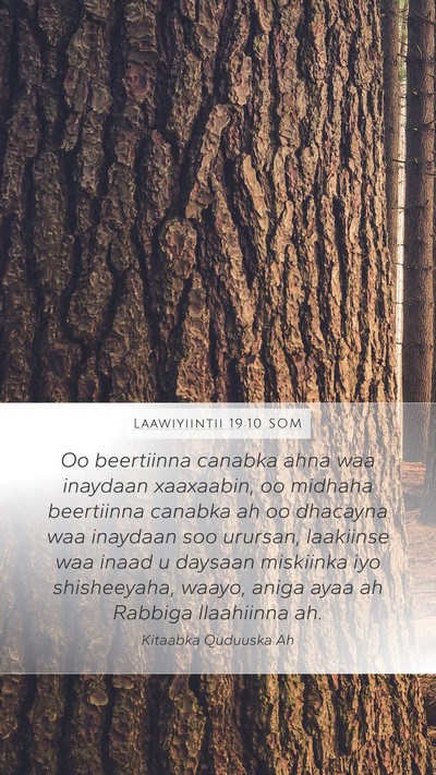 Laawiyiintii 19:10 SOM Bible Verse Image