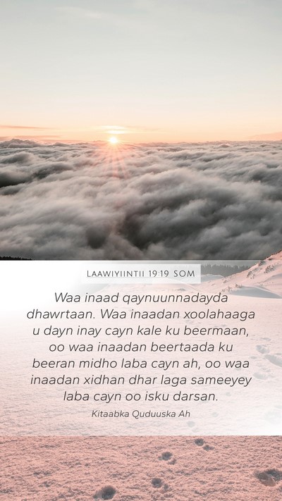 Laawiyiintii 19:19 SOM Bible Verse Image