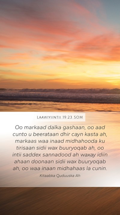 Laawiyiintii 19:23 SOM Bible Verse Image