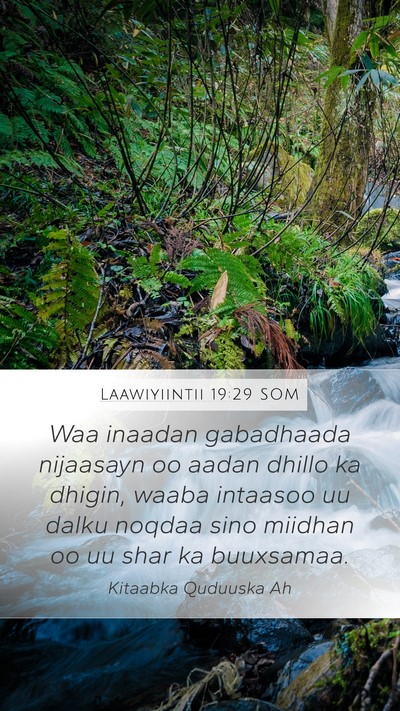 Laawiyiintii 19:29 SOM Bible Verse Image