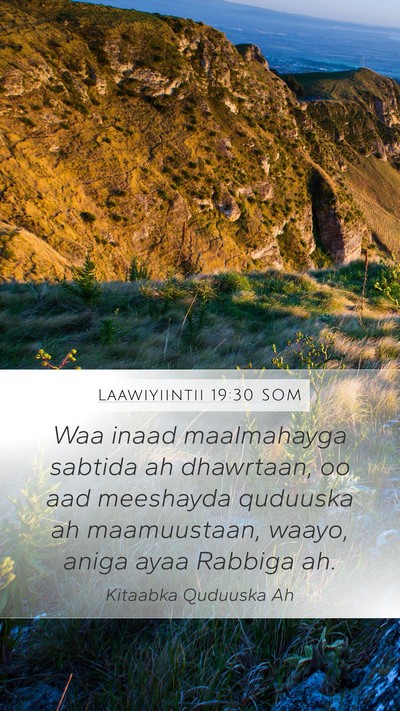 Laawiyiintii 19:30 SOM Bible Verse Image