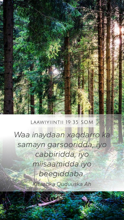 Laawiyiintii 19:35 SOM Bible Verse Image