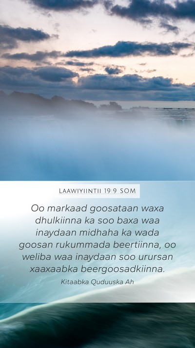 Laawiyiintii 19:9 SOM Bible Verse Image
