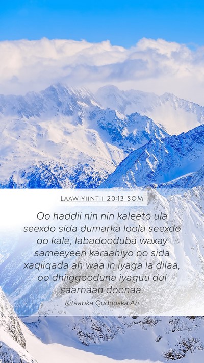 Laawiyiintii 20:13 SOM Bible Verse Image