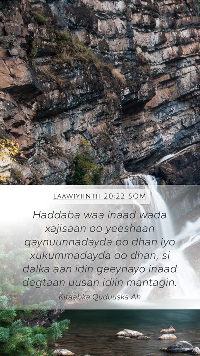 Laawiyiintii 20:22 SOM Bible Verse Image