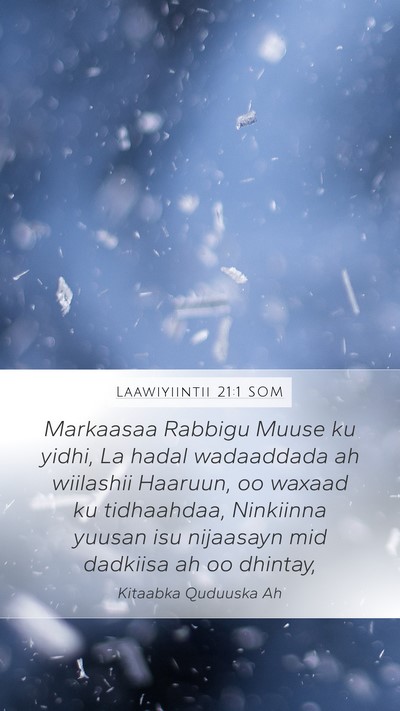 Laawiyiintii 21:1 SOM Bible Verse Image