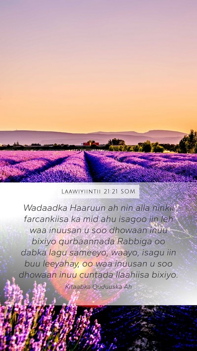 Laawiyiintii 21:21 SOM Bible Verse Image