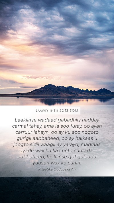 Laawiyiintii 22:13 SOM Bible Verse Image