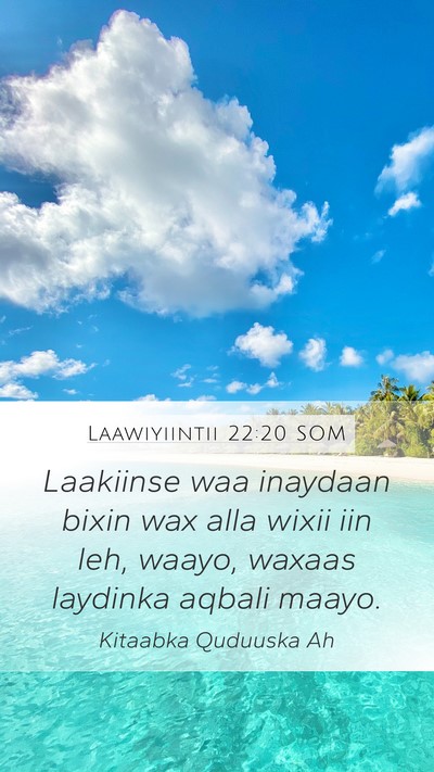 Laawiyiintii 22:20 SOM Bible Verse Image