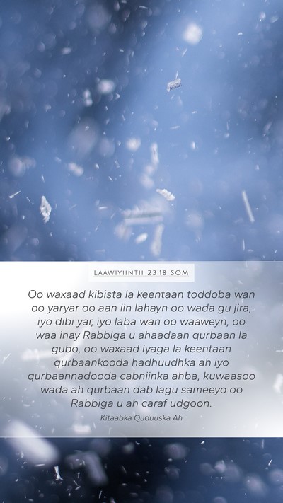 Laawiyiintii 23:18 SOM Mobile Phone Wallpaper - Oo waxaad kibista la keentaan toddoba wan oo - Mobile Bible Verse Wallpaper