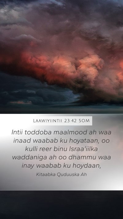 Laawiyiintii 23:42 SOM Bible Verse Image