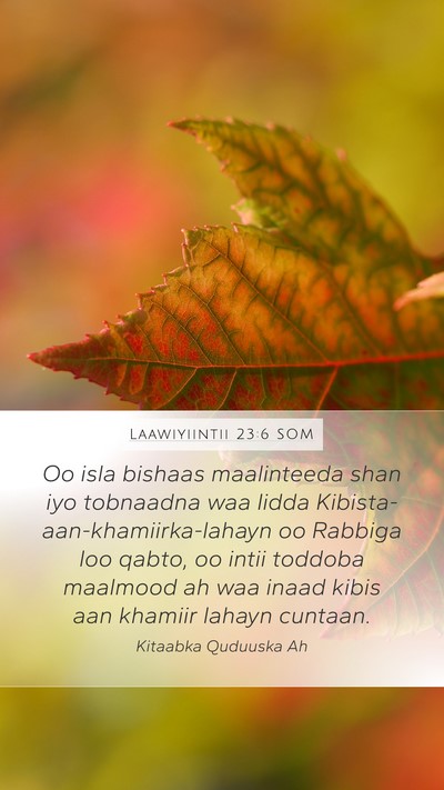 Laawiyiintii 23:6 SOM Bible Verse Image
