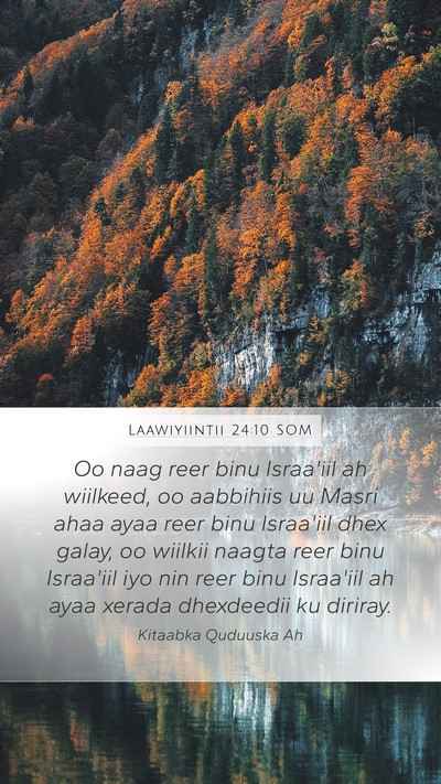 Laawiyiintii 24:10 SOM Bible Verse Image