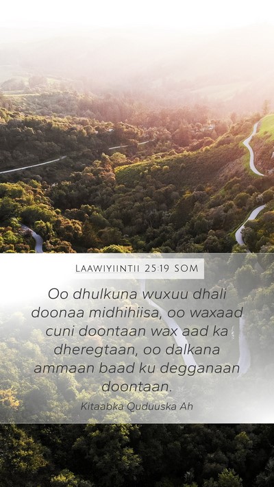 Laawiyiintii 25:19 SOM Mobile Phone Wallpaper - Oo dhulkuna wuxuu dhali doonaa midhihiisa, oo - Mobile Bible Verse Wallpaper