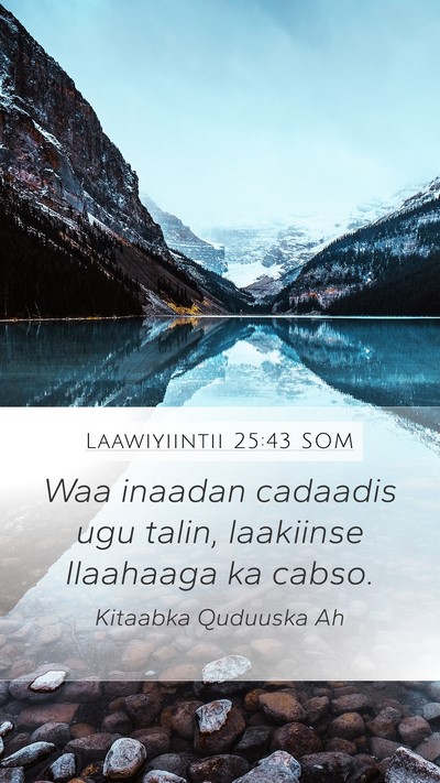 Laawiyiintii 25:43 SOM Bible Verse Image
