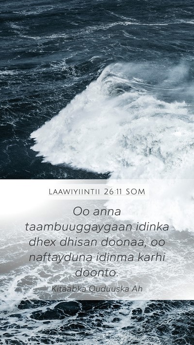 Laawiyiintii 26:11 SOM Bible Verse Image