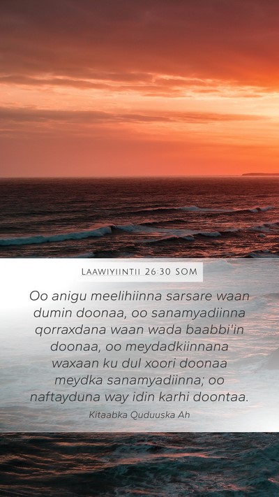 Laawiyiintii 26:30 SOM Bible Verse Image