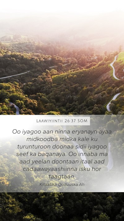 Laawiyiintii 26:37 SOM Bible Verse Image