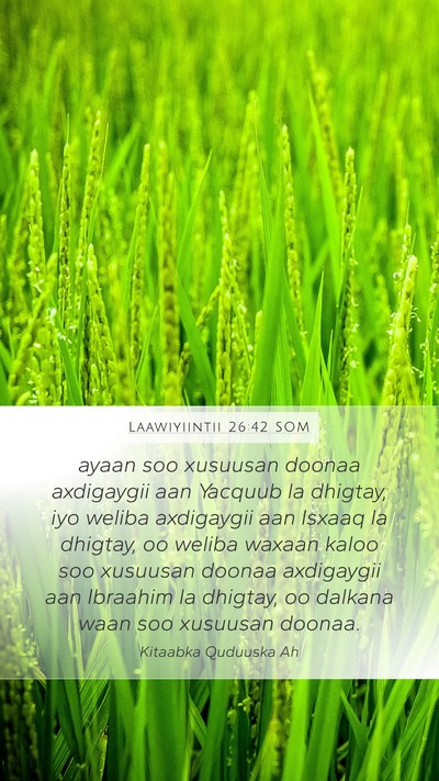 Laawiyiintii 26:42 SOM Bible Verse Image