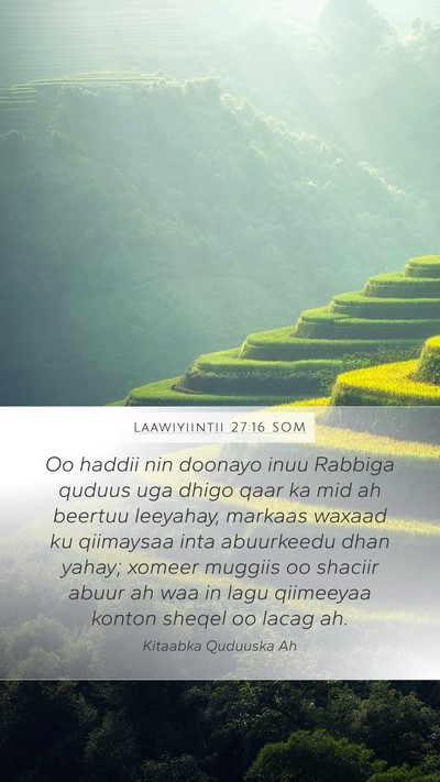 Laawiyiintii 27:16 SOM Bible Verse Image