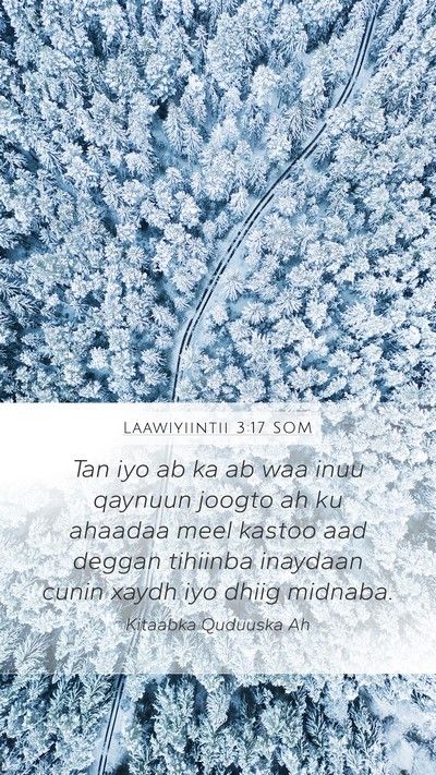 Laawiyiintii 3:17 SOM Bible Verse Image