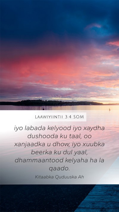Laawiyiintii 3:4 SOM Bible Verse Image