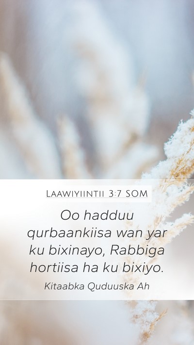Laawiyiintii 3:7 SOM Mobile Phone Wallpaper - Oo hadduu qurbaankiisa wan yar ku bixinayo, - Mobile Bible Verse Wallpaper
