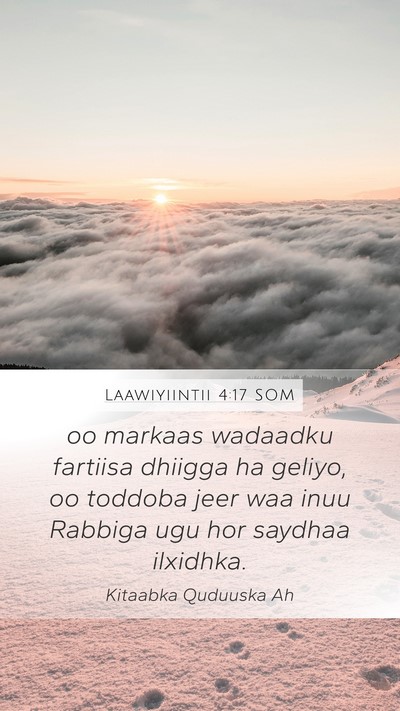 Laawiyiintii 4:17 SOM Bible Verse Image