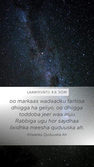 Laawiyiintii 4:6 SOM Bible Verse Image