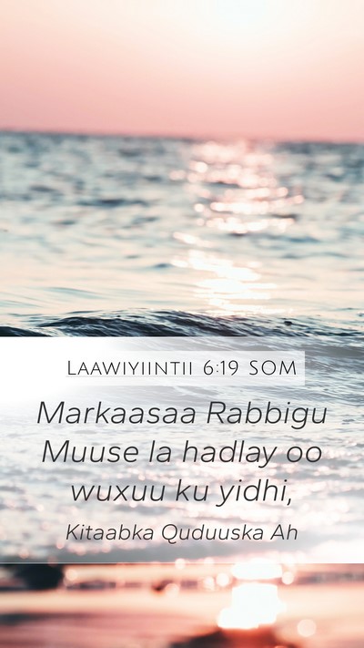 Laawiyiintii 6:19 SOM Bible Verse Image