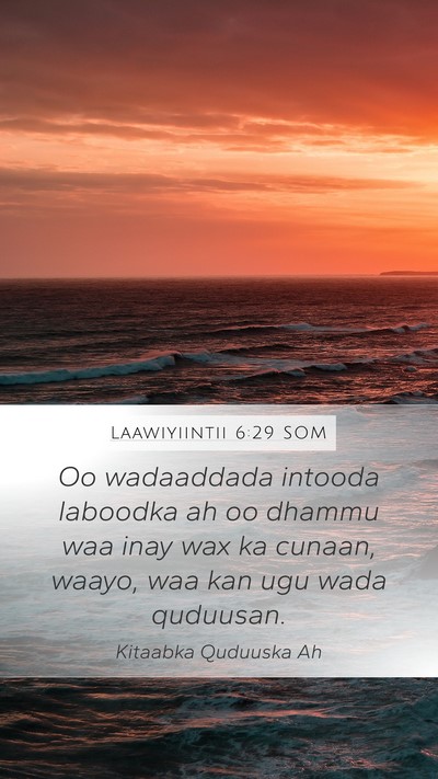 Laawiyiintii 6:29 SOM Bible Verse Image