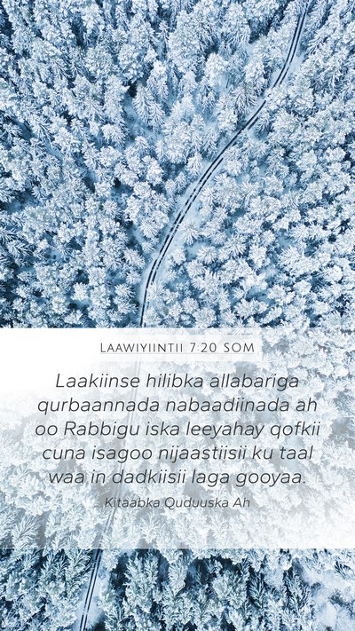 Laawiyiintii 7:20 SOM Bible Verse Image