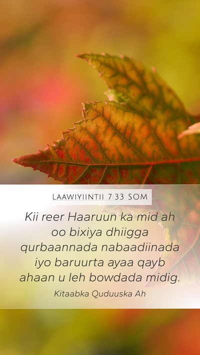 Laawiyiintii 7:33 SOM Mobile Phone Wallpaper - Kii reer Haaruun ka mid ah oo bixiya dhiigga - Mobile Bible Verse Wallpaper