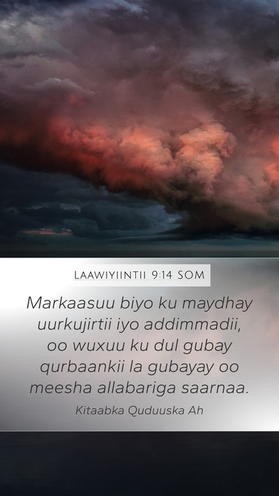 Laawiyiintii 9:14 SOM Mobile Phone Wallpaper - Markaasuu biyo ku maydhay uurkujirtii iyo - Mobile Bible Verse Wallpaper