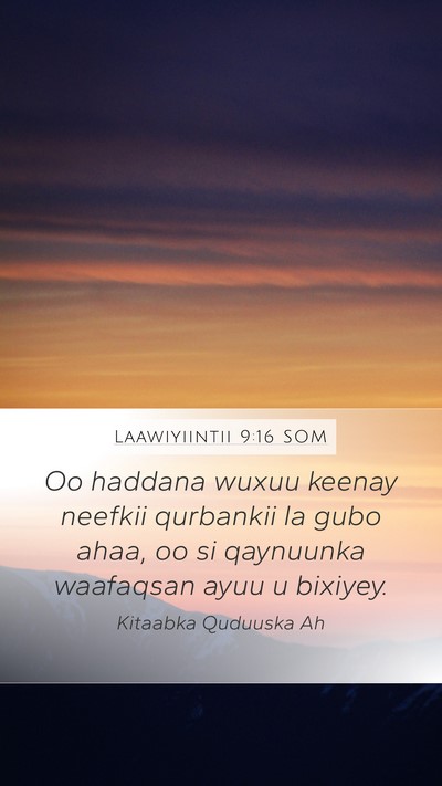 Laawiyiintii 9:16 SOM Mobile Phone Wallpaper - Oo haddana wuxuu keenay neefkii qurbankii la gubo - Mobile Bible Verse Wallpaper