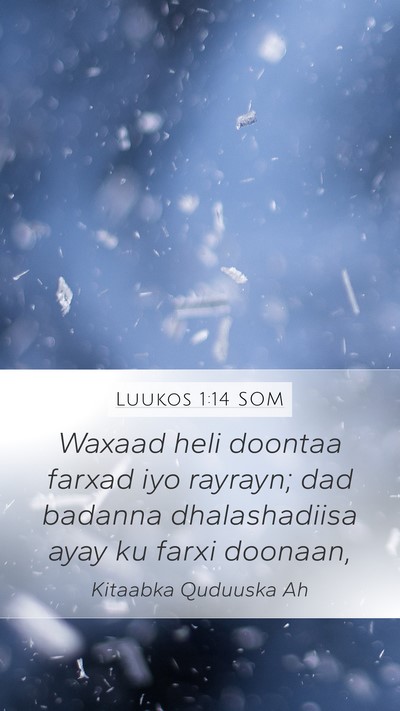 Luukos 1:14 SOM Bible Verse Image