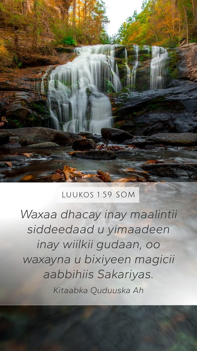 Luukos 1:59 SOM Bible Verse Image