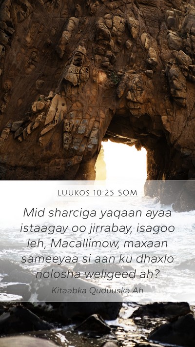 Luukos 10:25 SOM Bible Verse Image