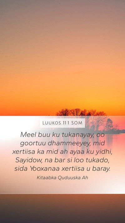 Luukos 11:1 SOM Mobile Phone Wallpaper - Meel buu ku tukanayay, oo goortuu dhammeeyey, mid - Mobile Bible Verse Wallpaper