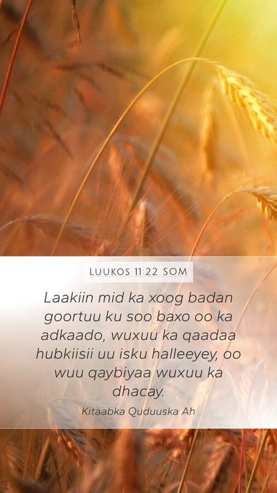 Luukos 11:22 SOM Mobile Phone Wallpaper - Laakiin mid ka xoog badan goortuu ku soo baxo oo - Mobile Bible Verse Wallpaper