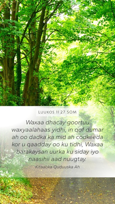 Luukos 11:27 SOM Bible Verse Image