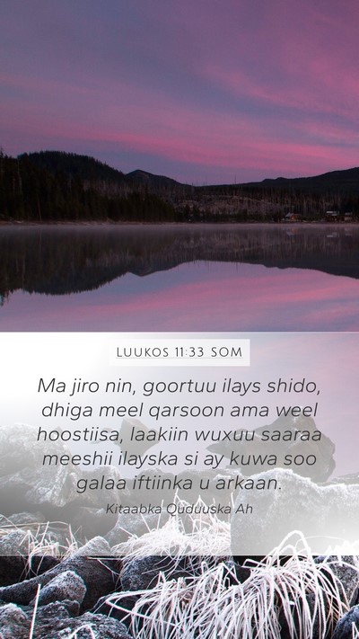 Luukos 11:33 SOM Bible Verse Image