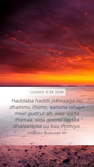Luukos 11:36 SOM Mobile Phone Wallpaper - Haddaba haddii jidhkaaga oo dhammu iftiimo, - Mobile Bible Verse Wallpaper