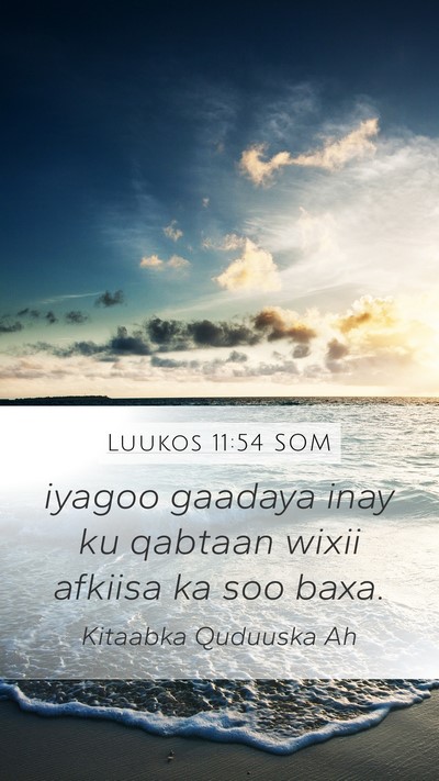 Luukos 11:54 SOM Bible Verse Image