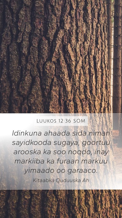 Luukos 12:36 SOM Bible Verse Image