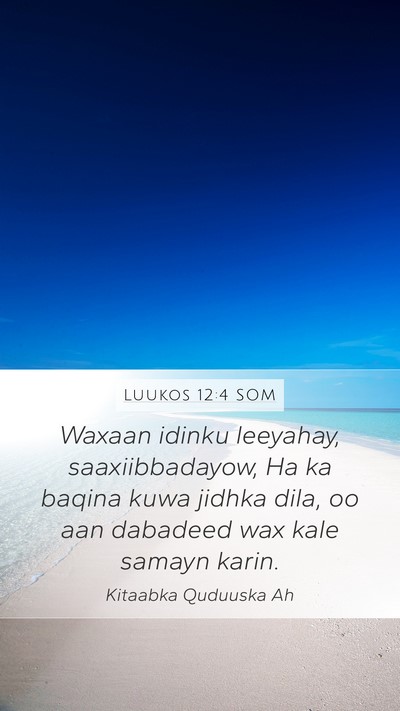 Luukos 12:4 SOM Bible Verse Image